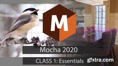 Mocha 2020: Essentials