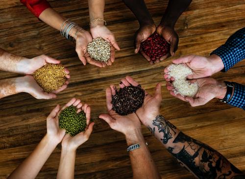 Diverse hands cupping seeds and grains - 6519