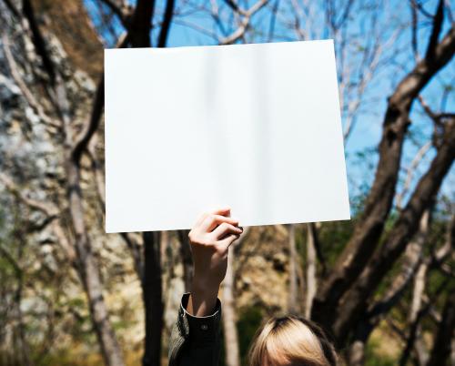 Young Woman Hands Holding Blank Empty Paper - 5948