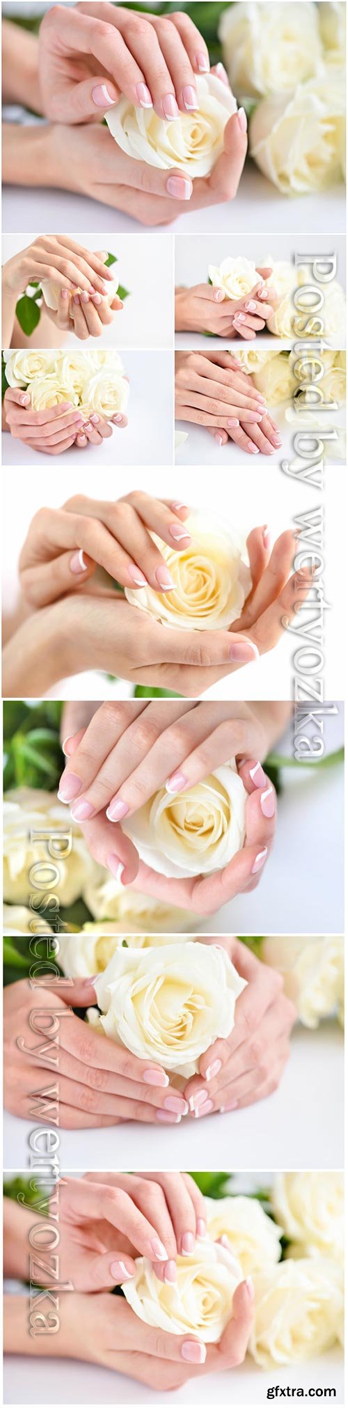 Hands of a woman with beautiful french manicure