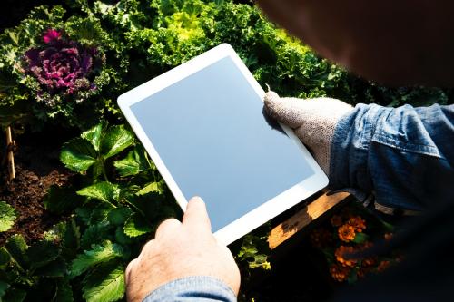 Human hand holding digital tablet organic fresh agricultural product - 6070