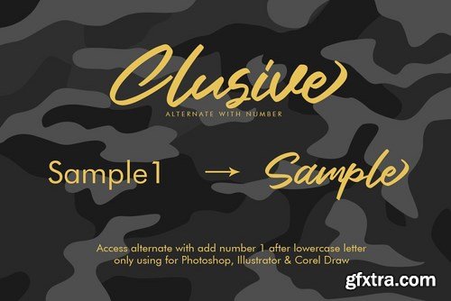 CM - Clusive Signature Stunning Script Fonts 5188664