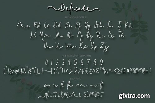 Delicate FONT