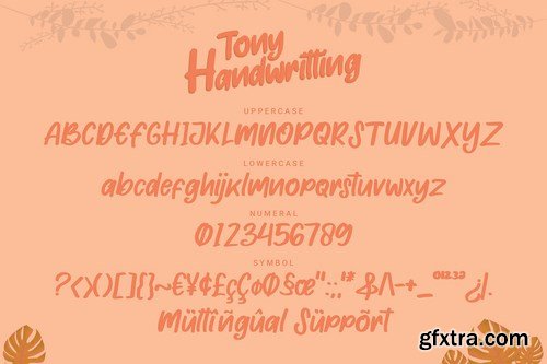 Tony Handwritting - Font