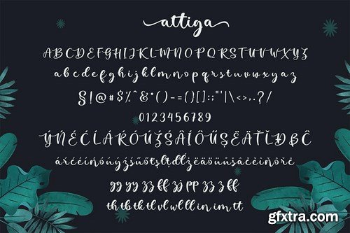 Attiga Script