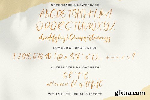 Catthy Wellingten - Modern Script Font