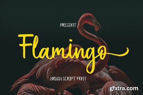 Flamingo Brush Script