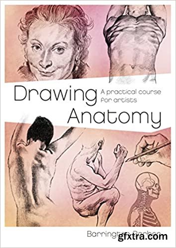 Drawing Anatomy: A Practical Course for Artists