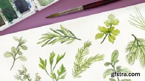 9 Watercolor Herbs: Quick + Simple Steps (perfect for beginners!)