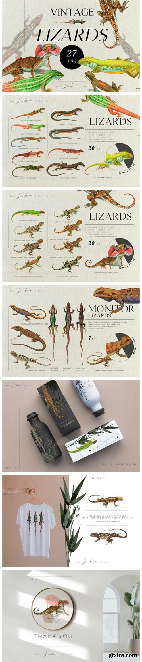 Vintage Lizards - Retro Illustrations 4659023