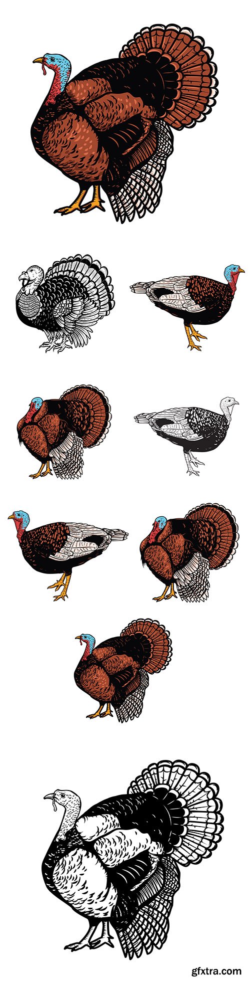 Thanksgiving illustration turkey on white background illustration
