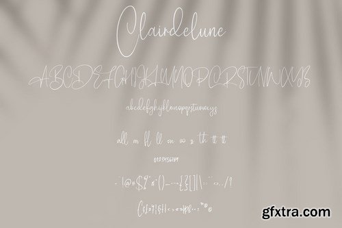 Clairdelune Calligraphy Modern Script Brush Font