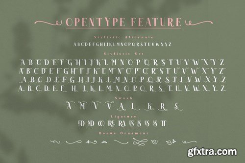 CM - Akserant Display Font 5200711