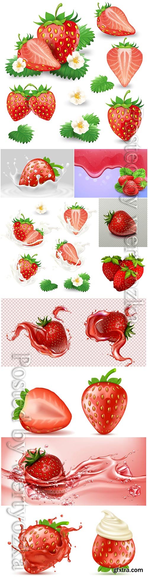 Strawberries, fruits and berries in vector