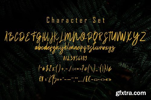 Balsam Brushline Font