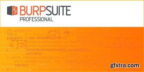 Burp Suite Pro 2020.7 Build 3287