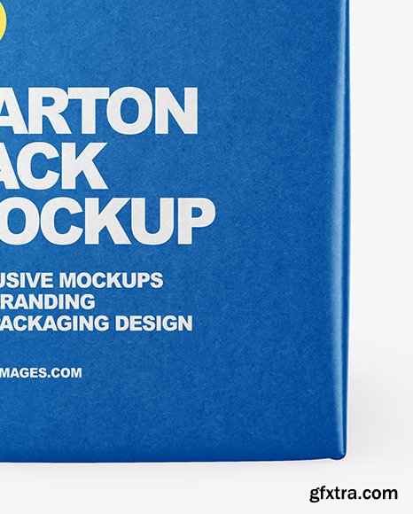 Kraft Carton Package Mockup 64073