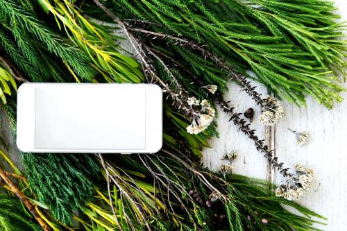 Mobile phone on top of fir leaves - 5406