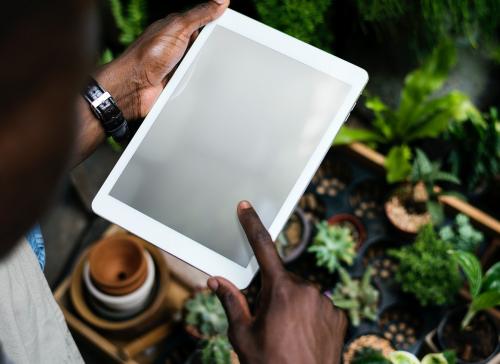 Gardening man using an empty screen tablet - 5569