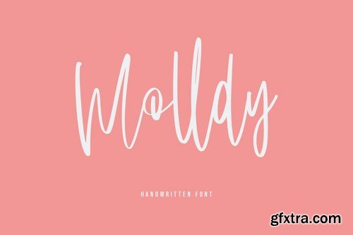 Molldy Handwritten Modern Script Font Brush Type