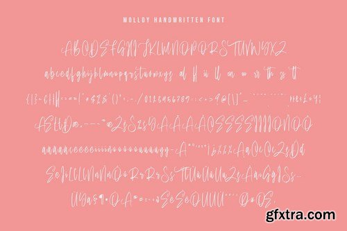 Molldy Handwritten Modern Script Font Brush Type