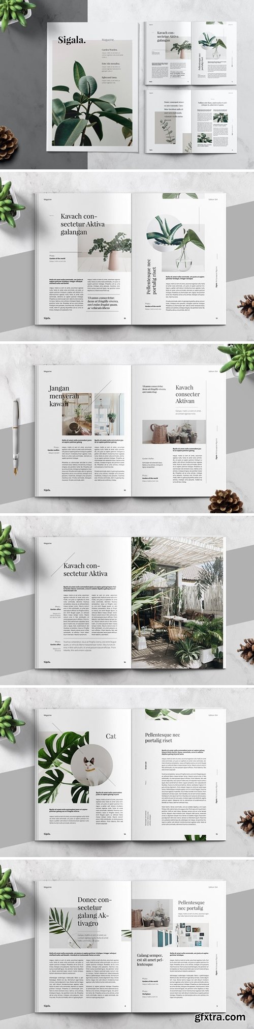 Minimal Magazine Template