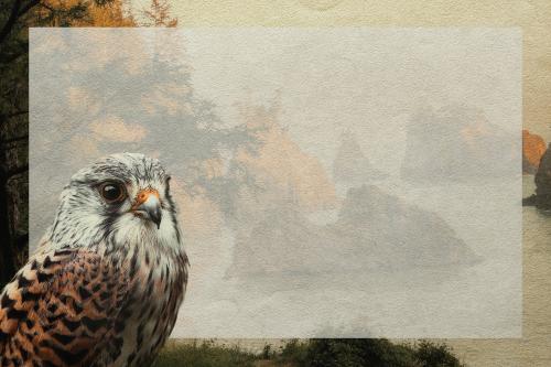 Blank frame with a hawk and the west coast background mockup - 1227152