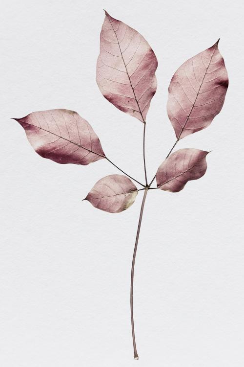 Branch of pink gold leaves pattern background illustration - 1203961