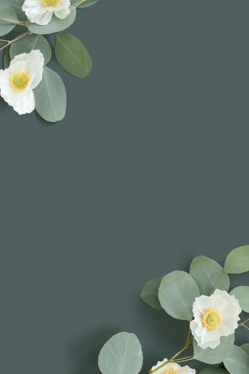 white poppy with eucalyptus leaves background - 1204141