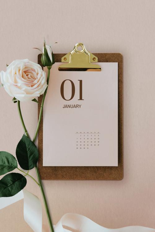 Pastel pink calendar on a cork clipboard with light pink rose - 1204287