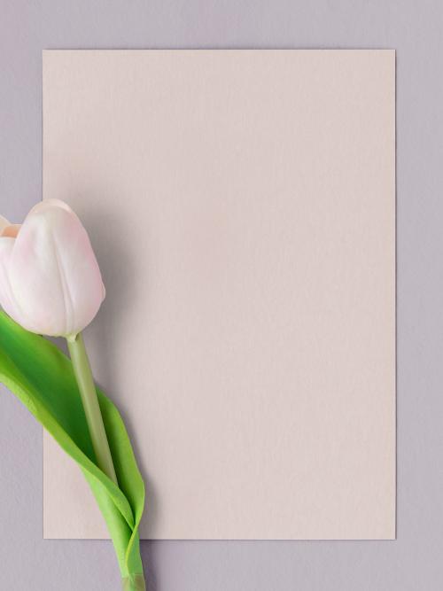 Fresh light pink tulip with blank card mockup - 1204372