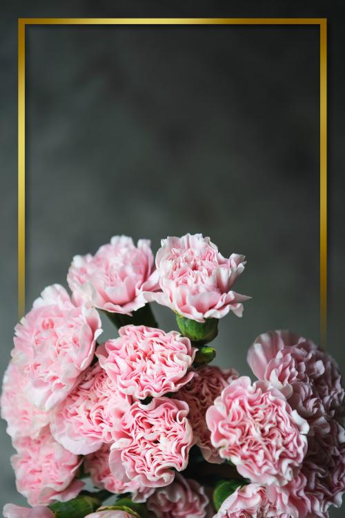 Golden frame with pink carnation wallpaper design - 1207616