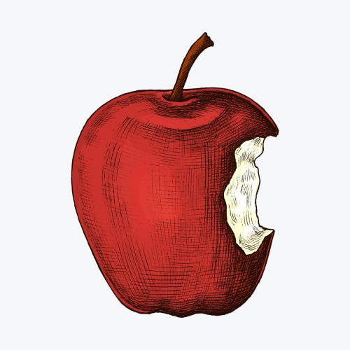 Fresh ripe bitten red apple illustration - 1209022