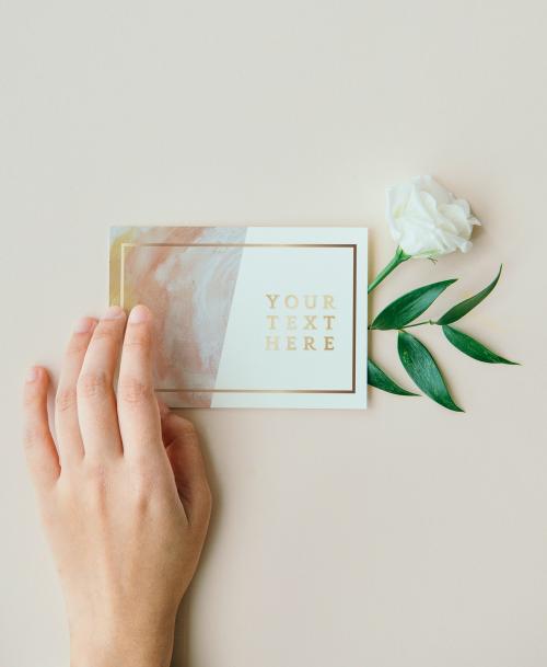 White lisianthus with a card mockup - 1209182