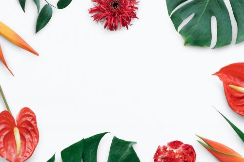 Colorful tropical flowers frame on a white background mockup - 1210134