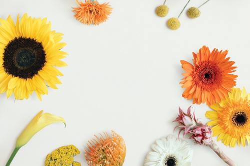 Coloful flower frame on a white background - 1210158