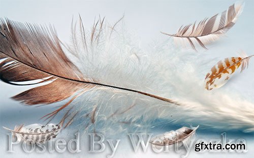 3D psd models fresh modern minimalist flowing feather tv background wall