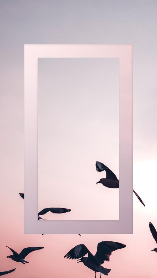 Seagulls flying in the sky mobile phone wallpaper - 1214223