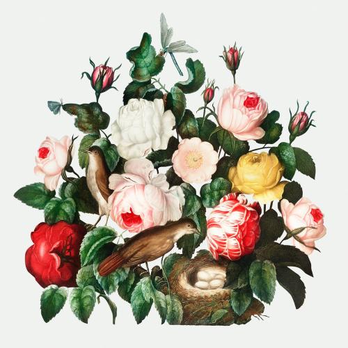 Vintage roses illustration - 1199376