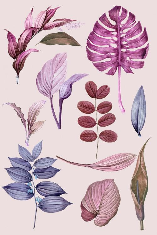 Vintage purple leaves collection design - 1200113