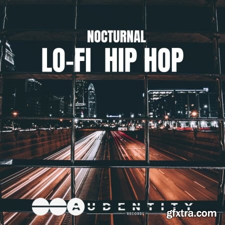 Audentity Records Nocturnal Lo-Fi Hip Hop WAV-FLARE