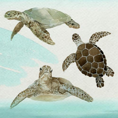 Watercolor painted sea turtle in watercolor banner vector - 2097694