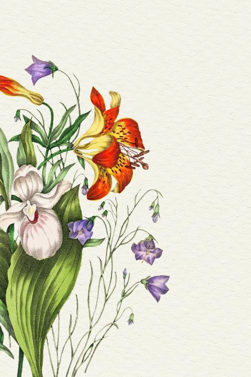 Wild Orange Red Lily, Harebell, and Showy Ladys Slipper flower bouquet illustration - 2108353