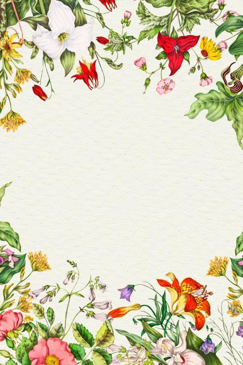 Antique Canadian wild flowers frame illustration - 2108363