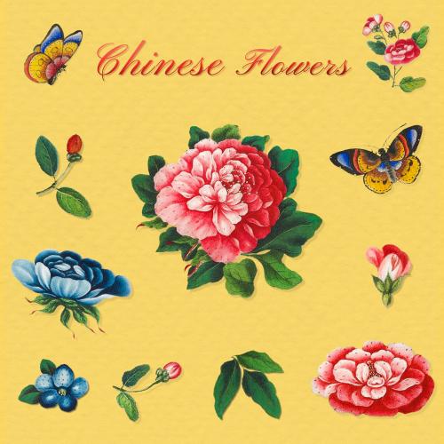 Beautiful vintage Chinese flower illustrations set mockup - 2205192