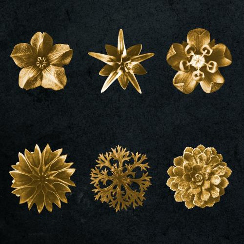 Gold monochrome flower photography set on black background - 2225523