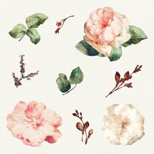 Vintage floral collection iillustration collection template - 2253507