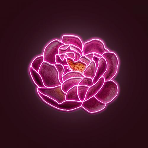 Neon pink rose mockup - 2254119