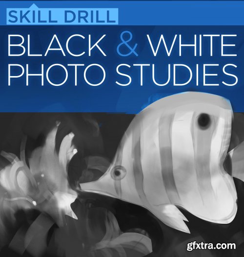 Ctrl+Paint - Black and White Photo Studies (Skill Drill)