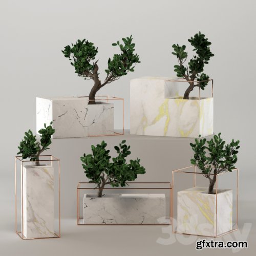 Marble flower pot collection